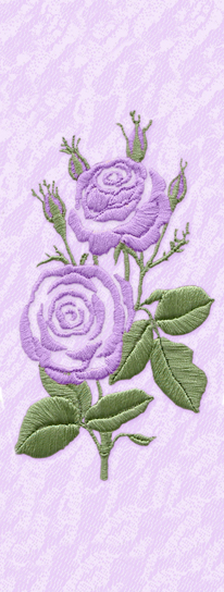 D PL SHEF 506 LV Satin Rose Lavender PROOF